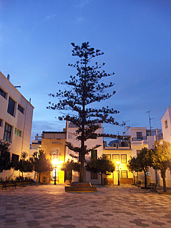 Foto de Estepona (Málaga), España