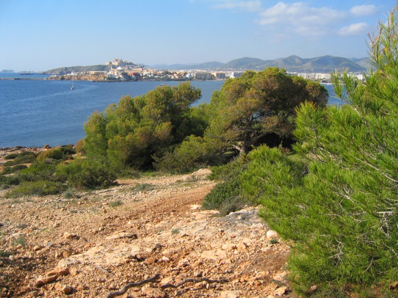 Foto de Ibiza (Illes Balears), España