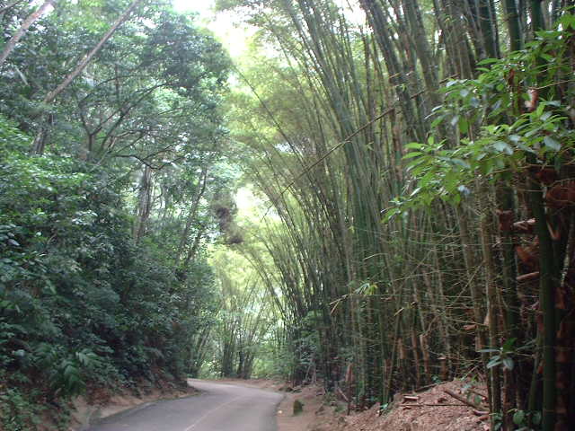 Foto de Vía Choroní, Venezuela