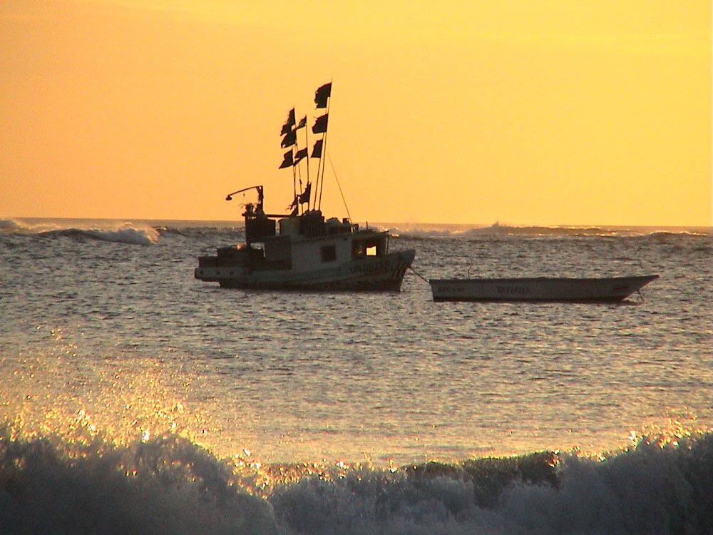 Foto de Samara, Costa Rica