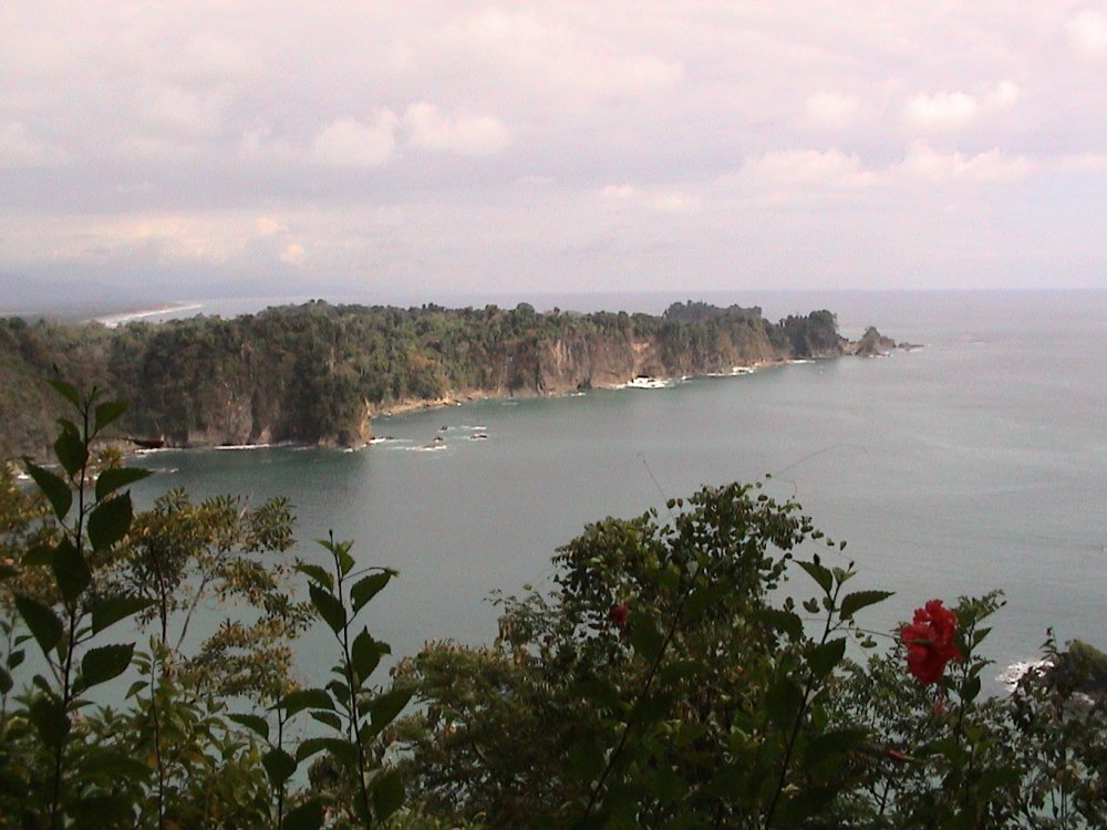 Foto de Manuel Antonio, Costa Rica