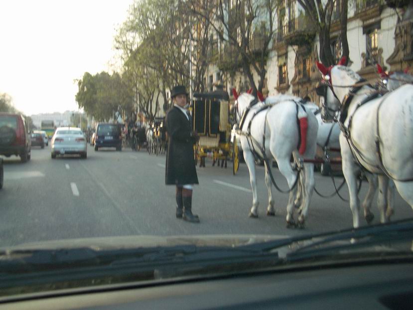 Foto de Sevilla (Andalucía), España