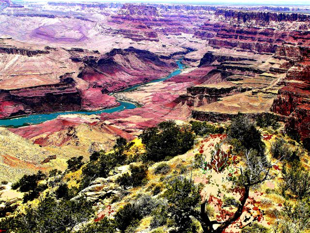 Foto de Grand Canyon (Arizona), Estados Unidos