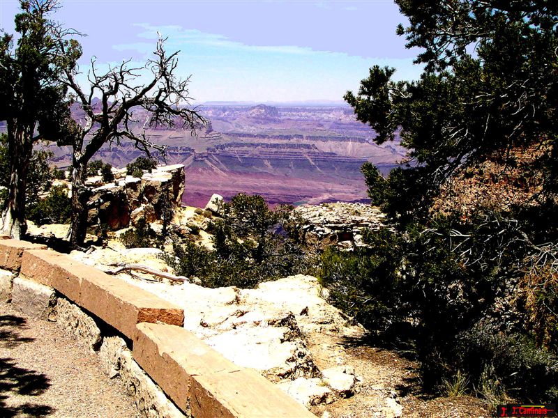 Foto de Grand Canyon (Arizona), Estados Unidos