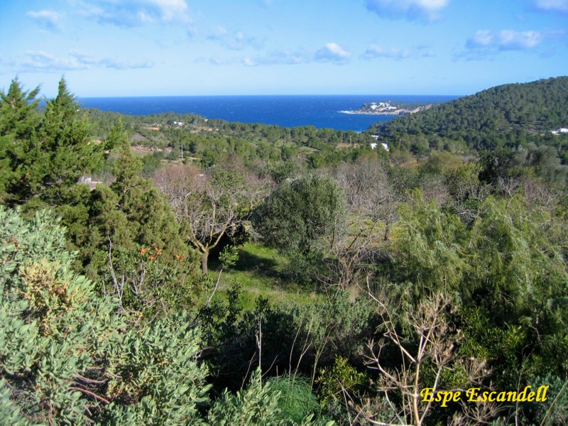 Foto de Ibiza (Illes Balears), España