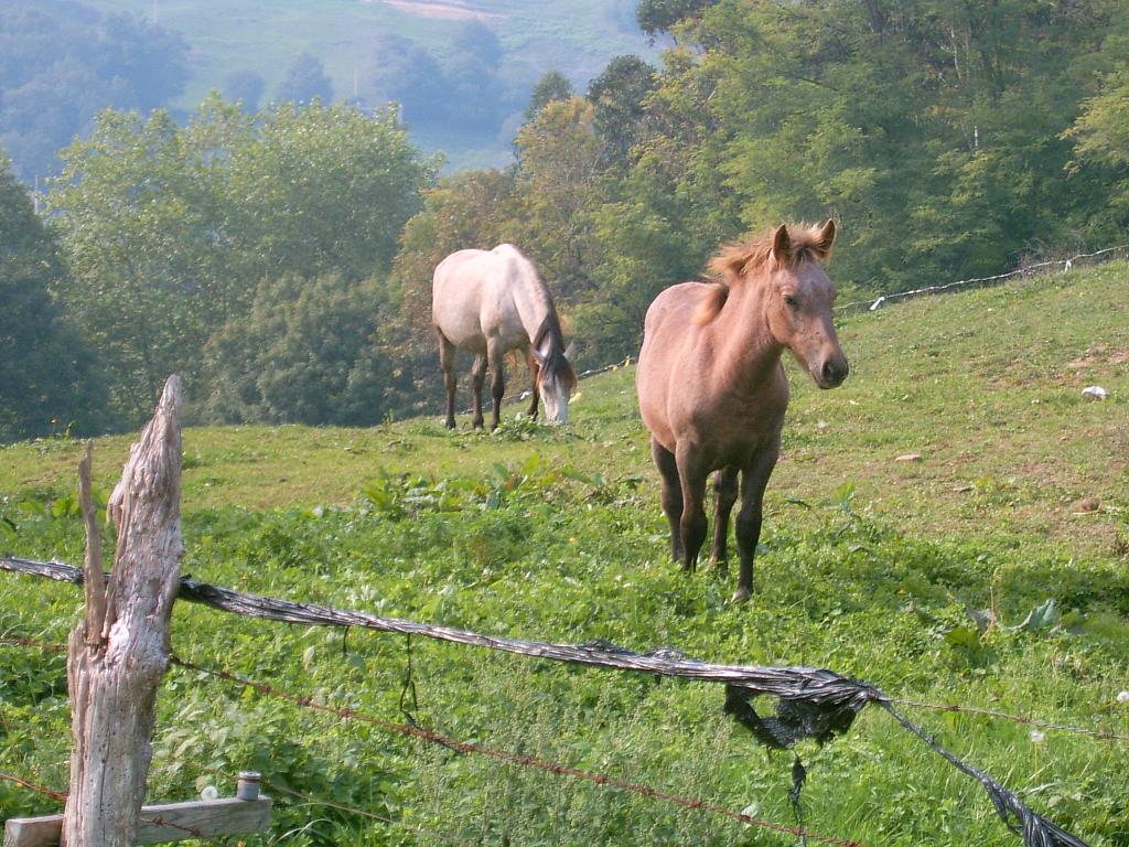 Foto de Santander (Cantabria), España