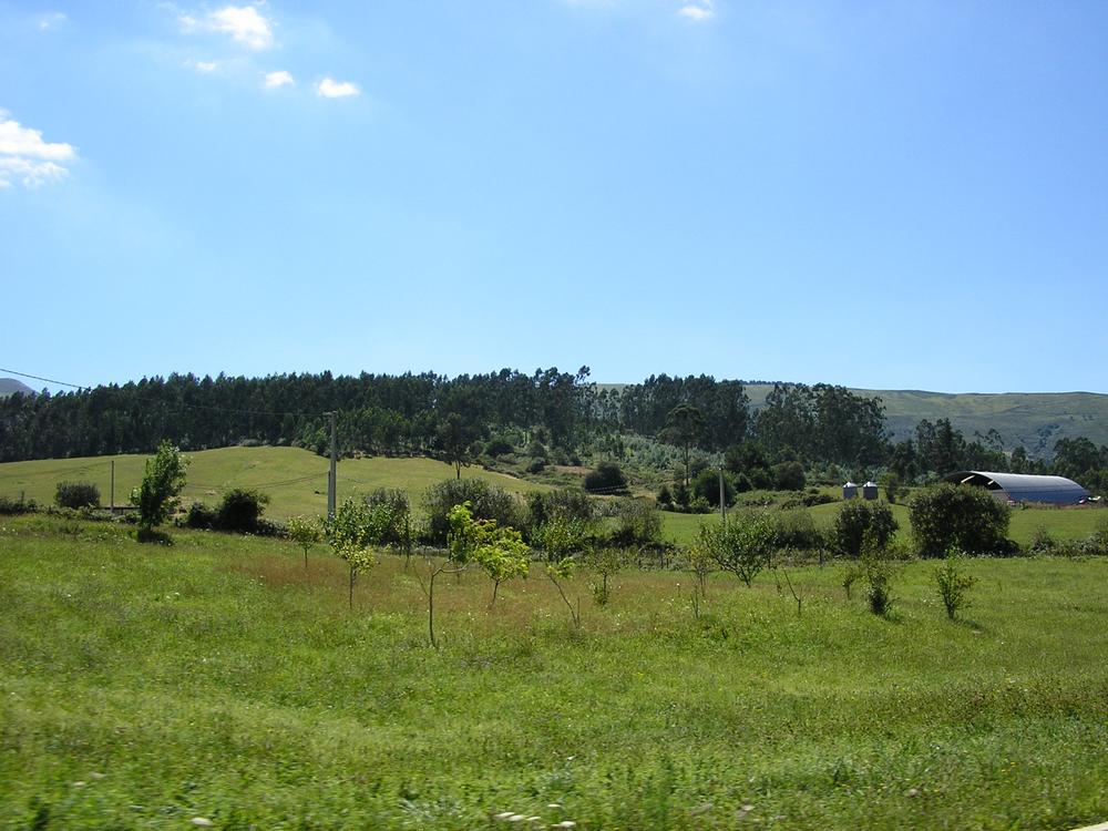 Foto de Carmona (Cantabria), España