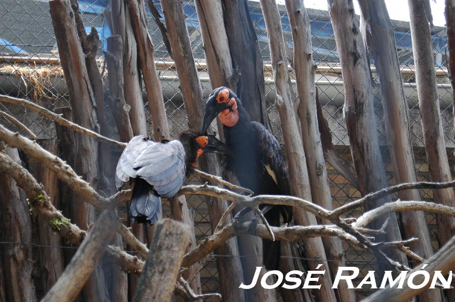 Foto de Jerez  de la Frontera (Cádiz), España