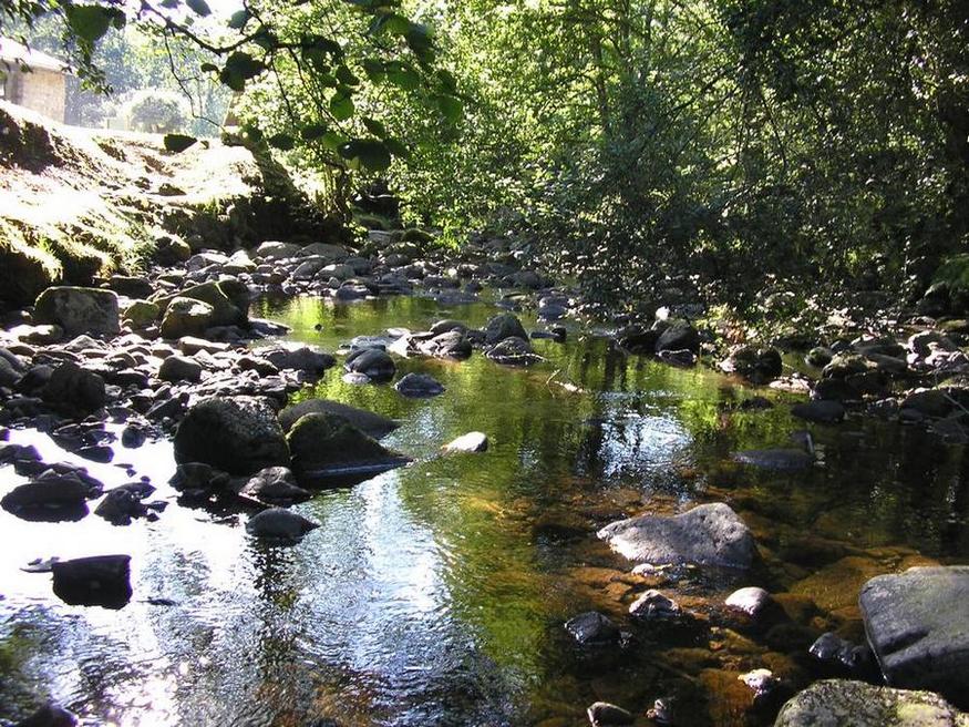 Foto de Parque Natural Saja-Nansa (Cantabria), España