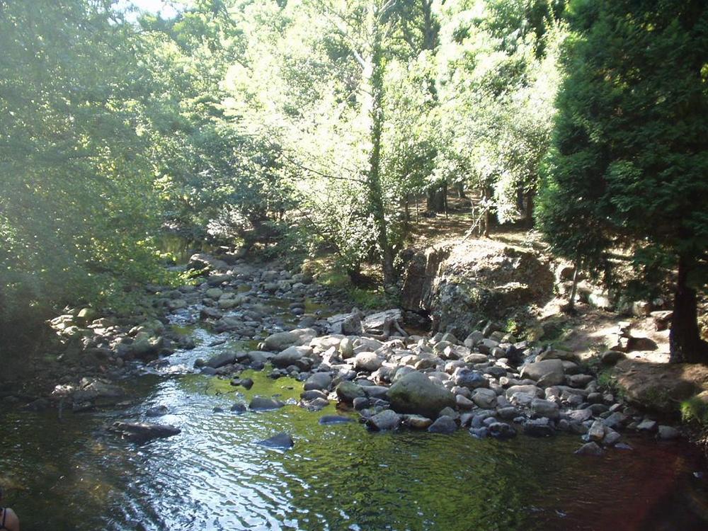 Foto de Parque Natural Saja-Nansa (Cantabria), España