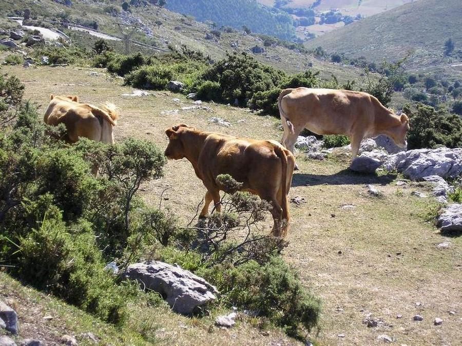 Foto de Peña Cabarga (Cantabria), España