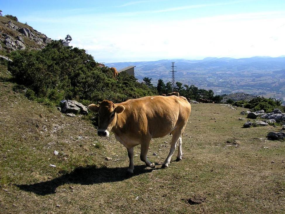 Foto de Peña Cabarga (Cantabria), España