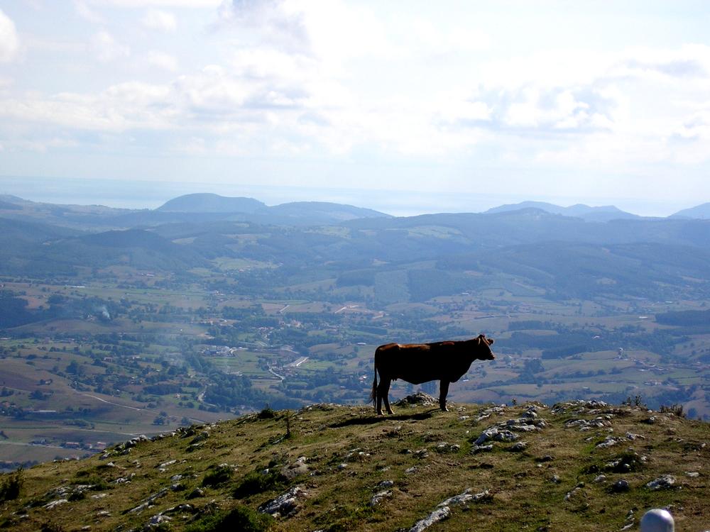 Foto de Peña Cabarga (Cantabria), España