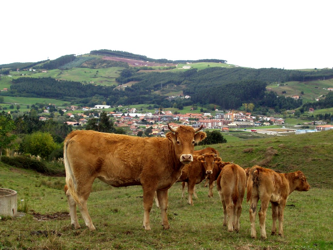 Foto de Parbayon (Cantabria), España