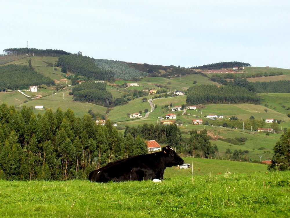 Foto de Riosapero (Cantabria), España