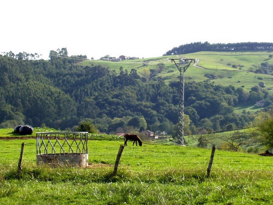 Foto de Riosapero (Cantabria), España