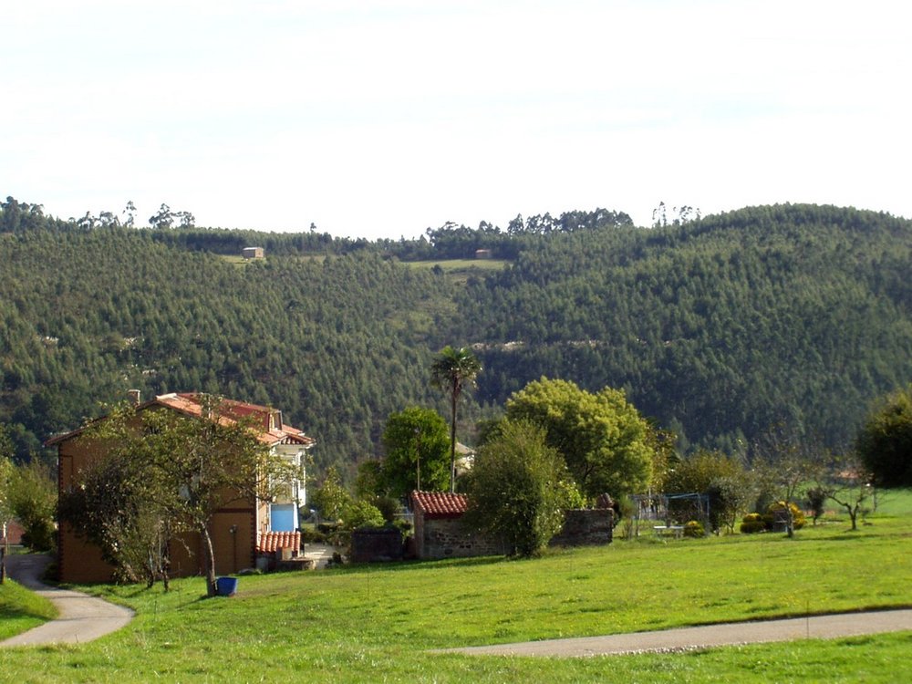 Foto de Riosapero (Cantabria), España