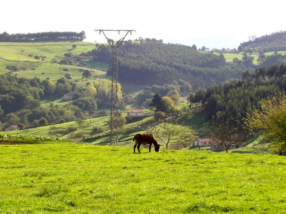 Foto de Riosapero (Cantabria), España