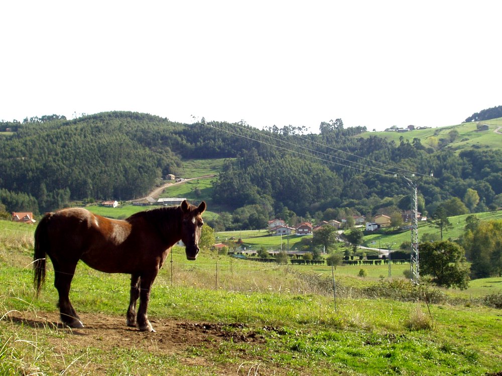 Foto de Riosapero (Cantabria), España