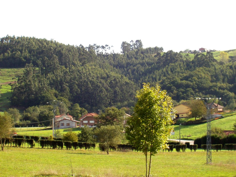 Foto de Riosapero (Cantabria), España