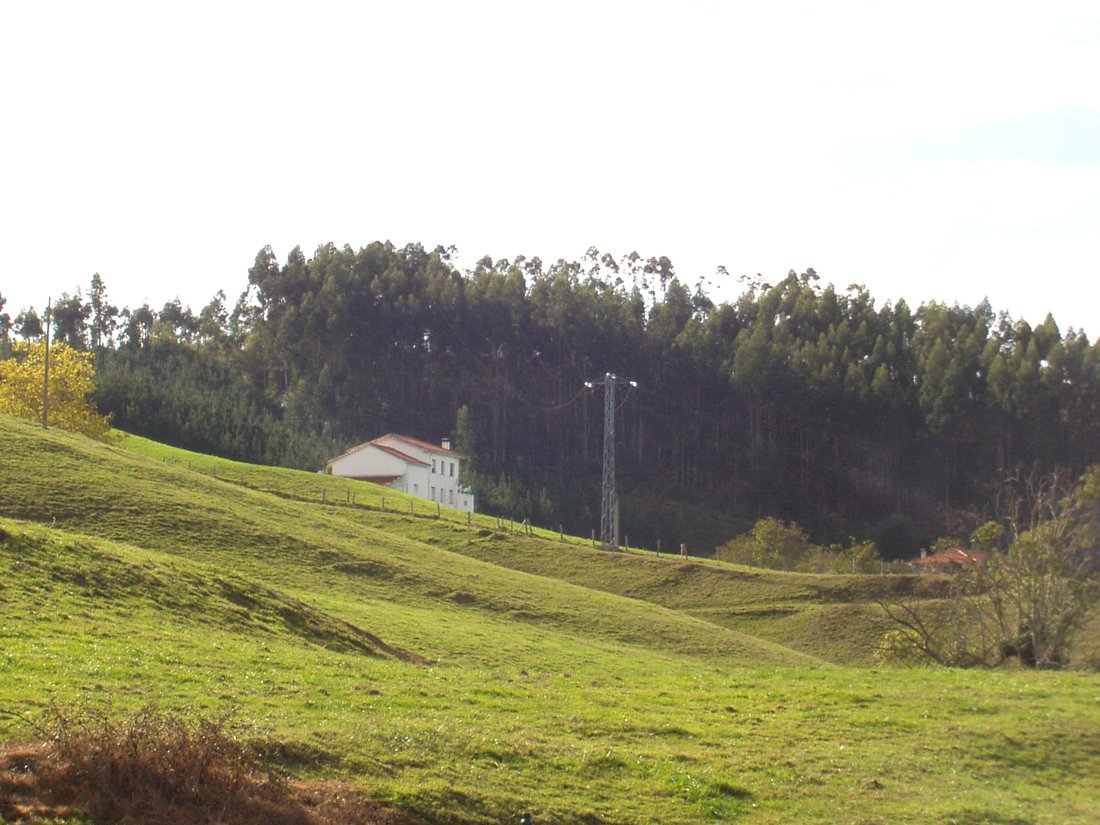 Foto de Riosapero (Cantabria), España