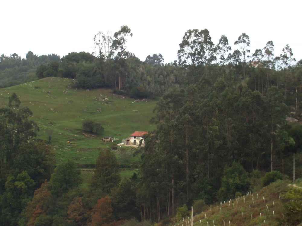 Foto de Escobedo (Cantabria), España