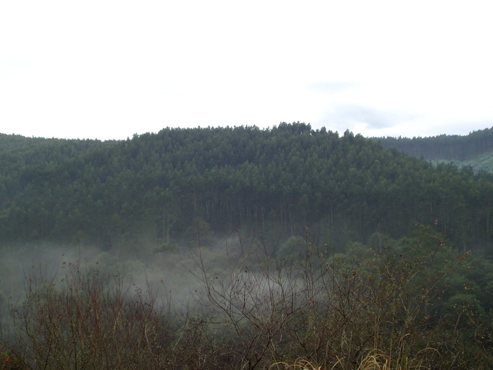 Foto de Escobedo (Cantabria), España