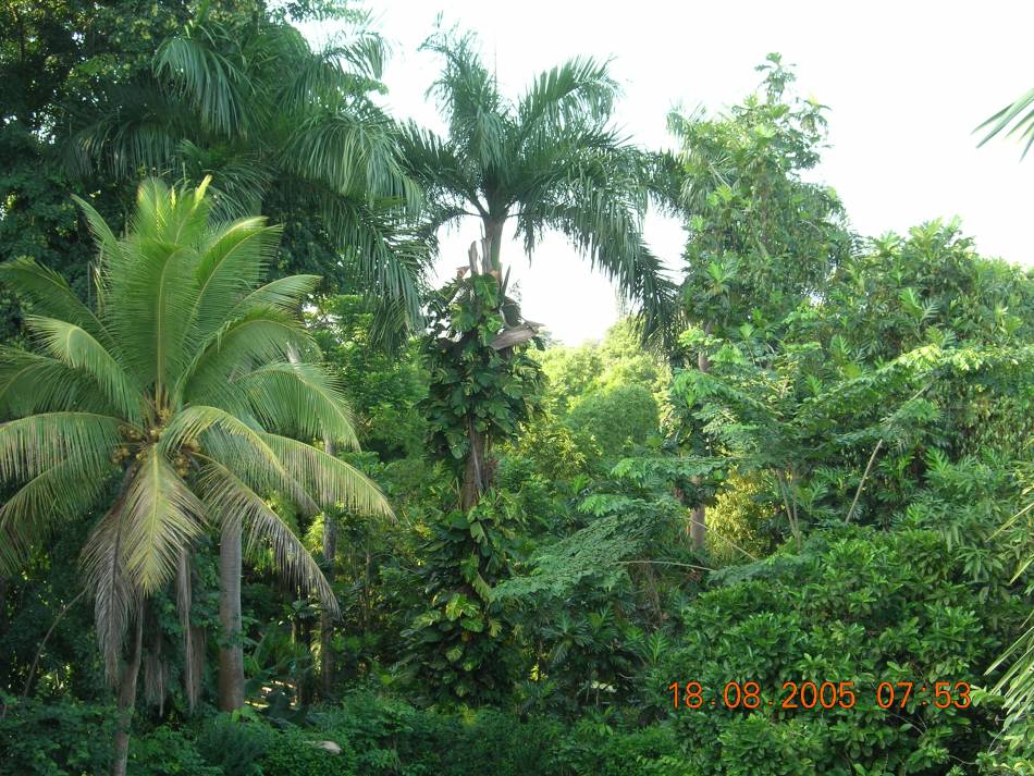 Foto de San Juan, Puerto Rico