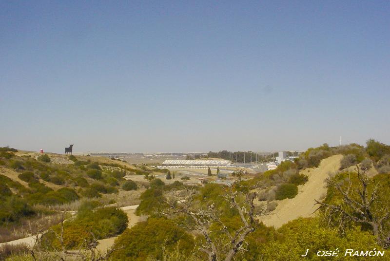 Foto de Jerez de la Frontera (Cádiz), España