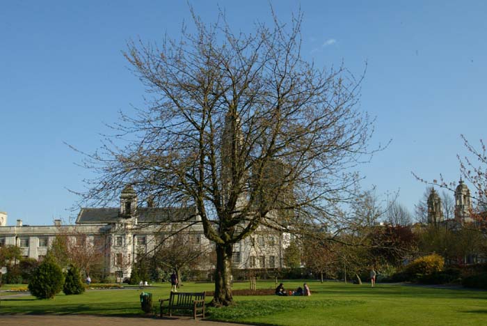 Foto de CARDIFF (Wales), El Reino Unido