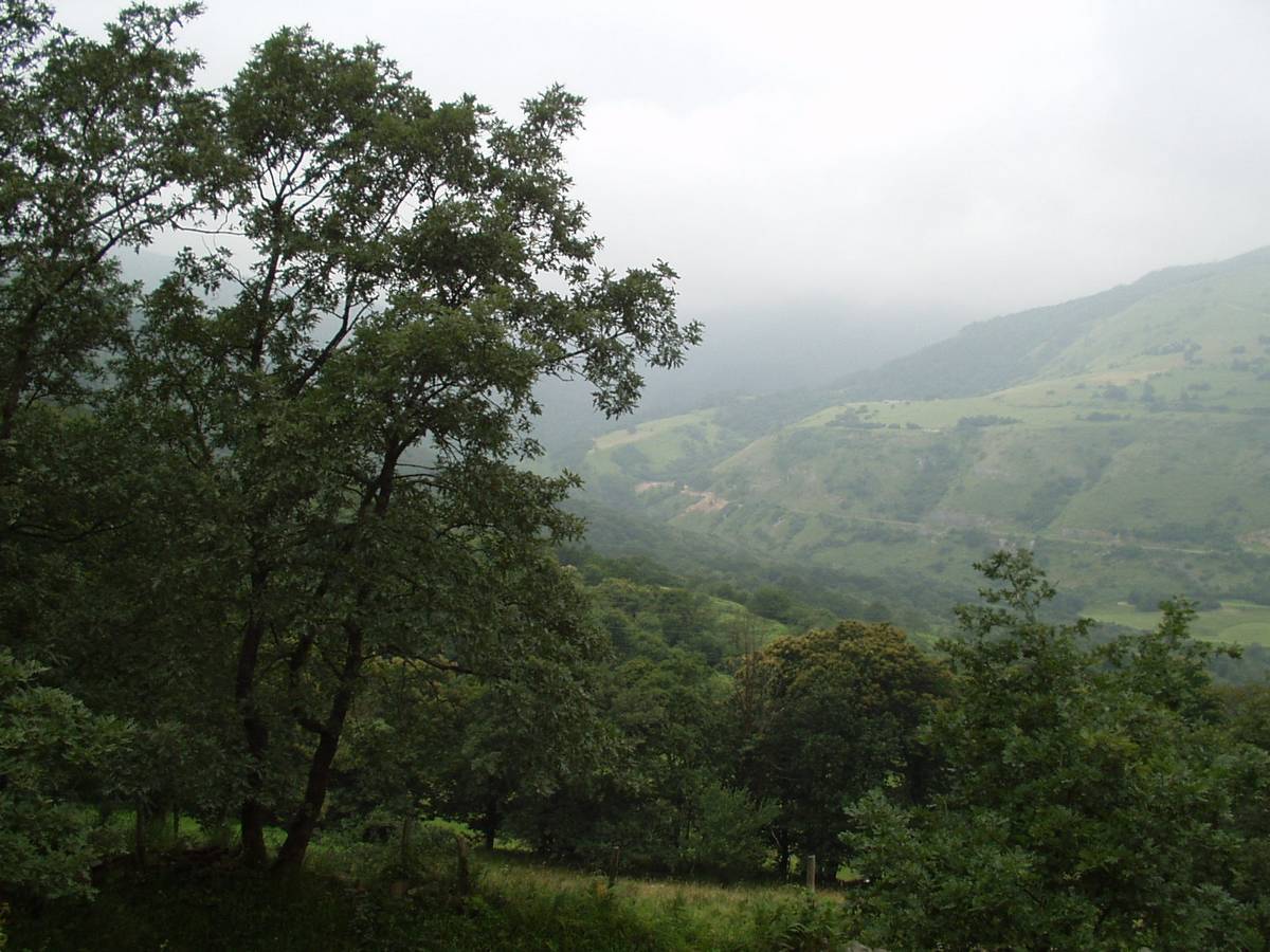 Foto de Bárcena de Pie de Concha (Cantabria), España