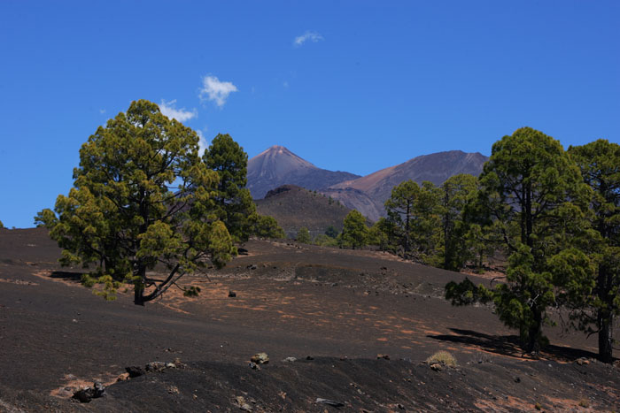 Foto de Tenerife (Santa Cruz de Tenerife), España