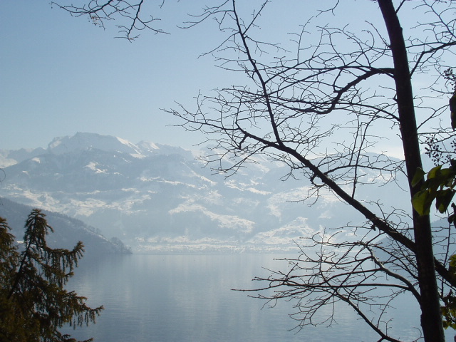 Foto de Lago Brunnen (Suiza), Suiza