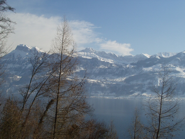 Foto de Lago Brunnen (Suiza), Suiza