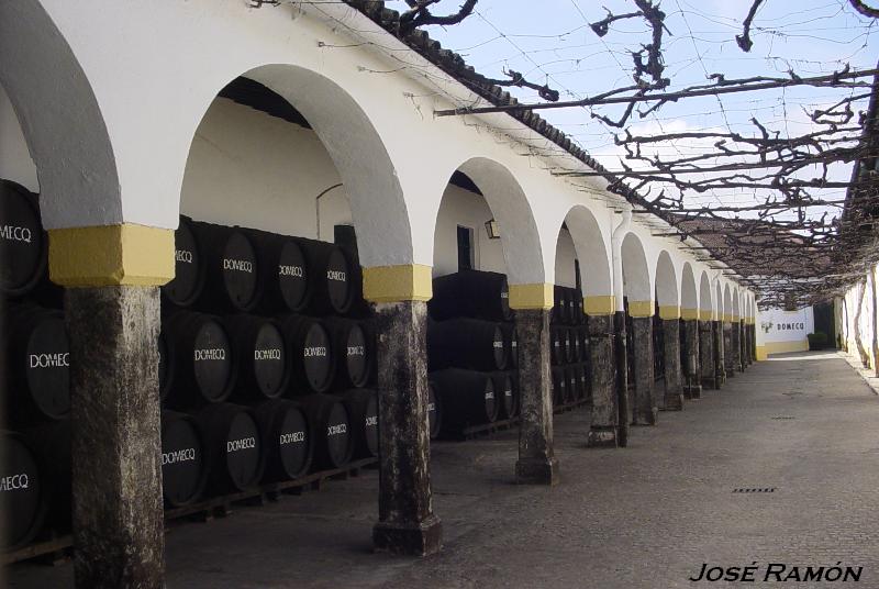 Foto de Jerez de la Frontera (Cádiz), España