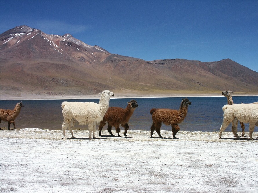 Foto de San Pedro de Atacama, Chile