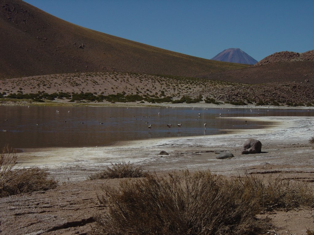 Foto de San Pedro de Atacama, Chile