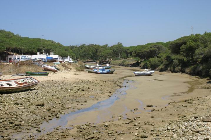 Foto de Conil (Cádiz), España