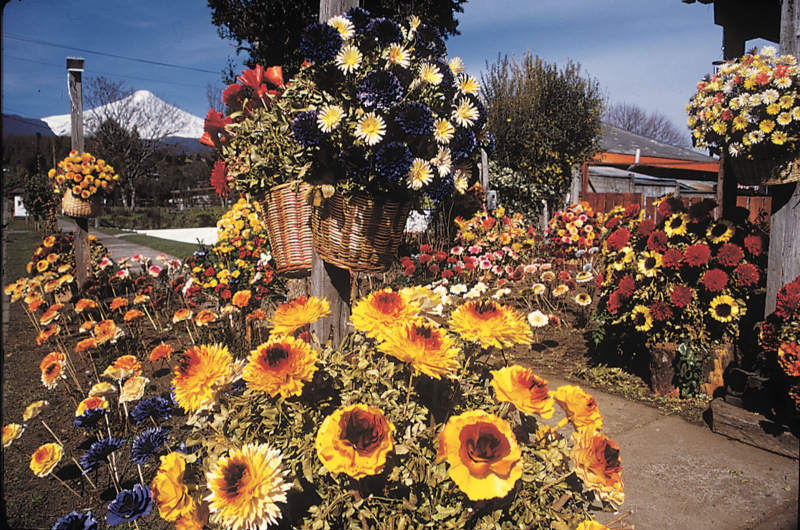 Foto de Pucón, Chile