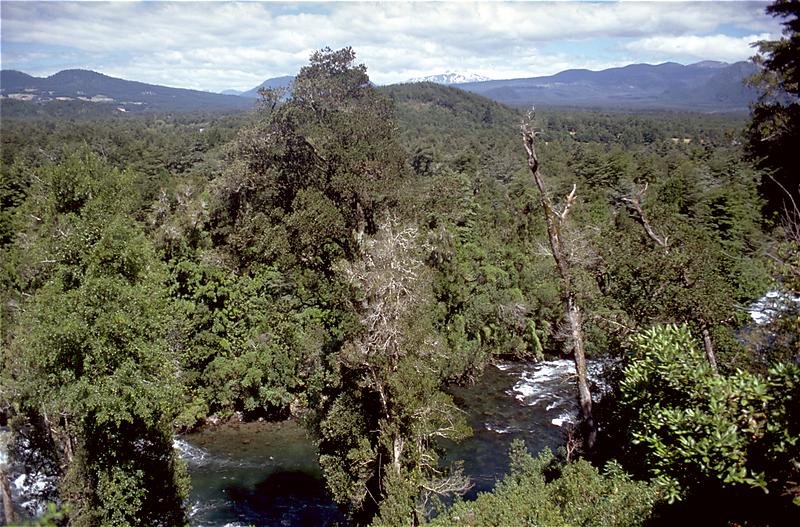 Foto de Pucón, Chile