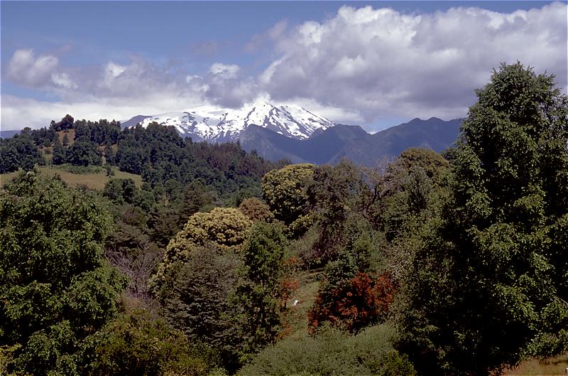 Foto de Pucón, Chile