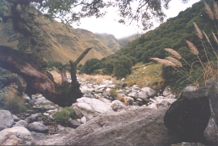 Foto de Villa de Merlo_San Luis, Argentina