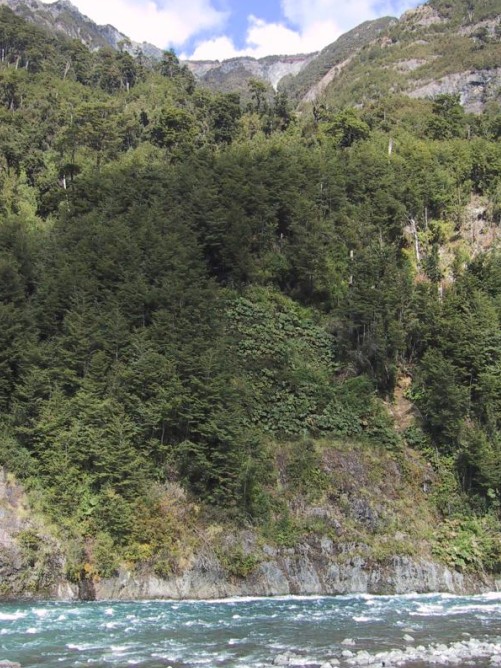 Foto de Petrohue, Chile