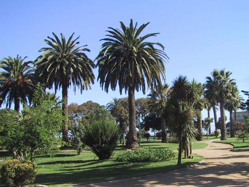 Foto de Viña del Mar, Chile