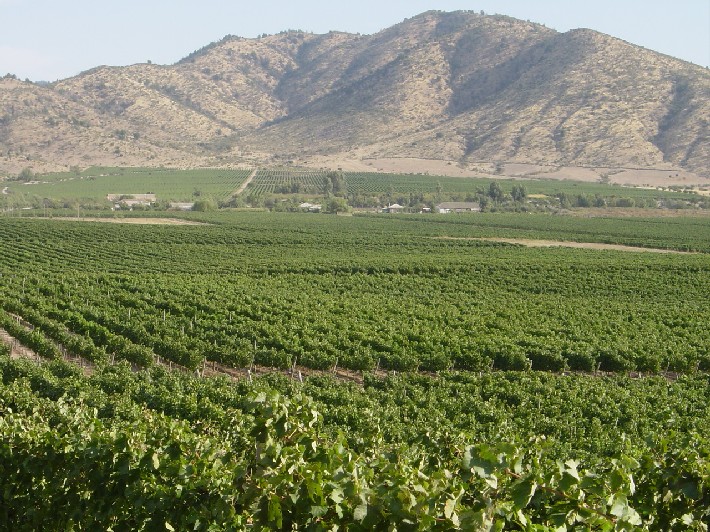 Foto de Colchagua, Chile