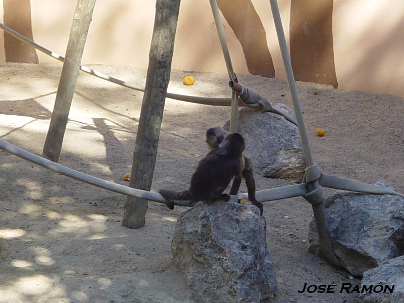 Foto de Jerez  de la Frontera (Cádiz), España