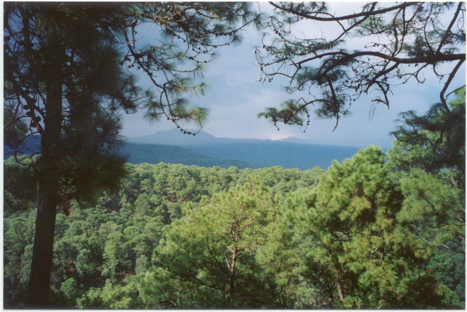 Foto de cuernavaca morelos, México