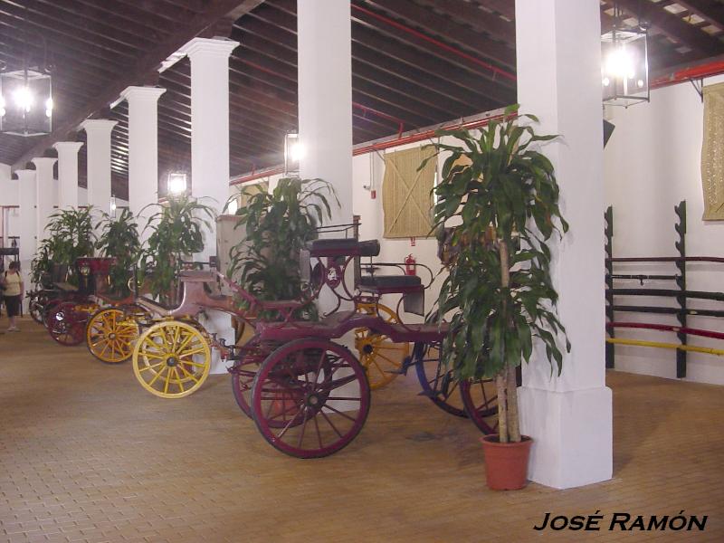 Foto de Jerez  de la Frontera (Cádiz), España