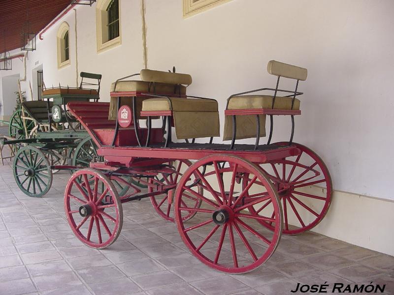 Foto de Jerez  de la Frontera (Cádiz), España