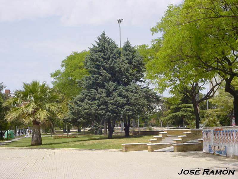 Foto de Jerez  de la Frontera (Cádiz), España